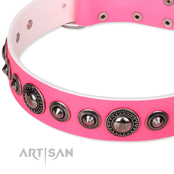 Comfortable wearing embellished dog collar of durable full grain genuine leather
