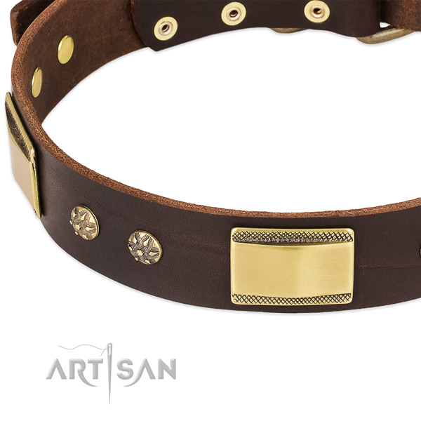 Corrosion proof adornments on full grain genuine leather dog collar for your four-legged friend