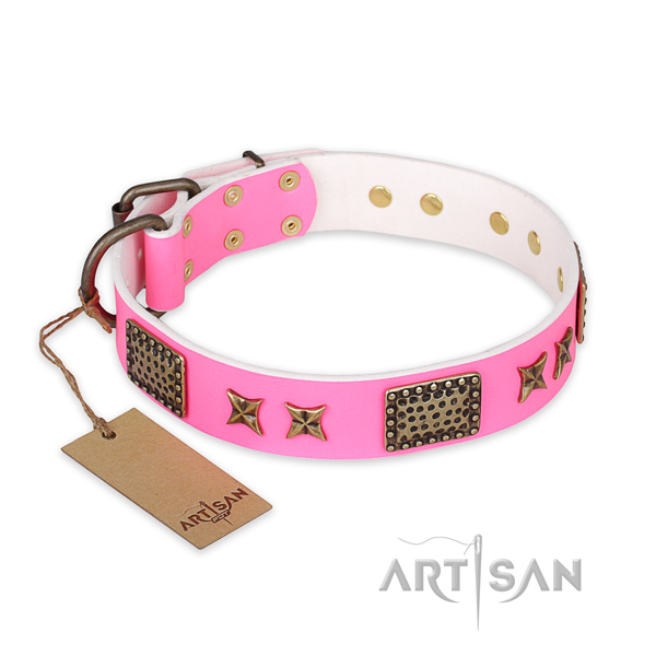 Handcrafted full grain leather dog collar with corrosion proof fittings
