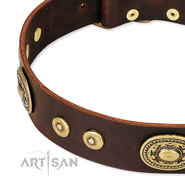 Adorned dog collar made of top rate leather