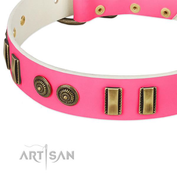 Durable D-ring on leather dog collar for your doggie