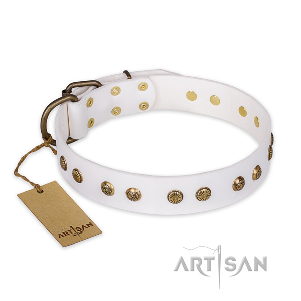 Handcrafted full grain leather dog collar with reliable hardware