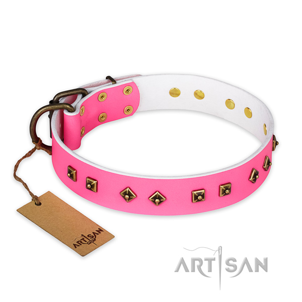 Designer full grain leather dog collar with durable hardware
