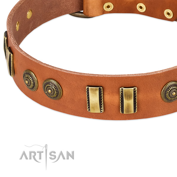 Rust-proof hardware on leather dog collar for your dog