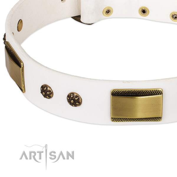 Corrosion resistant studs on full grain leather dog collar for your canine