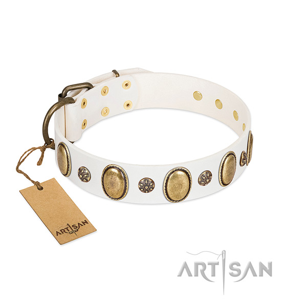 Everyday walking flexible full grain natural leather dog collar