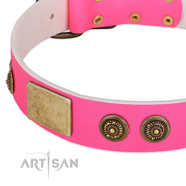 Trendy dog collar handcrafted for your beautiful canine