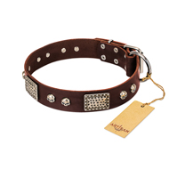 "Pirate Skull" FDT Artisan Brown Leather Sharpei Collar with Old Silver Look Plates and Skulls