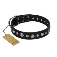 "Genteel Charm" FDT Artisan Black Leather Sharpei Collar with Silver-like Round Conchos