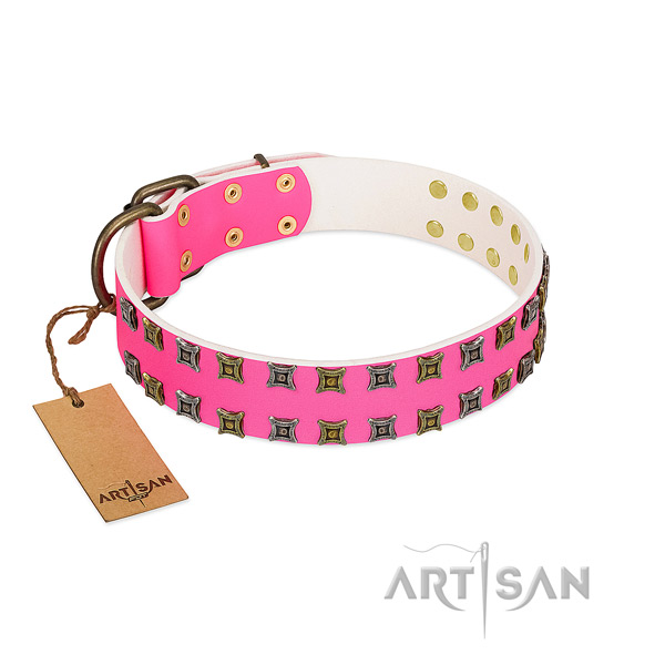 Natural leather collar with stylish decorations for your canine