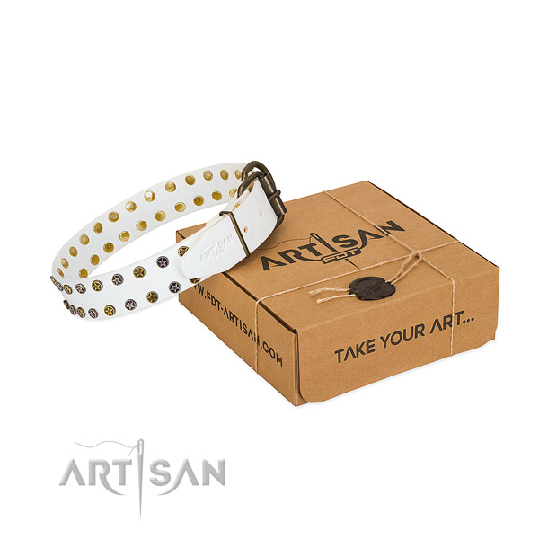 Stylish full grain leather dog collar with rust-proof studs