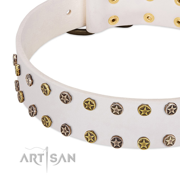 Top notch studs on full grain genuine leather collar for your four-legged friend