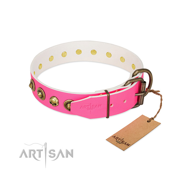 Natural leather collar with significant embellishments for your four-legged friend