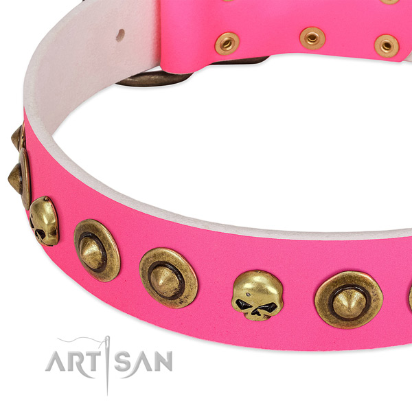 Exceptional adornments on natural leather collar for your dog