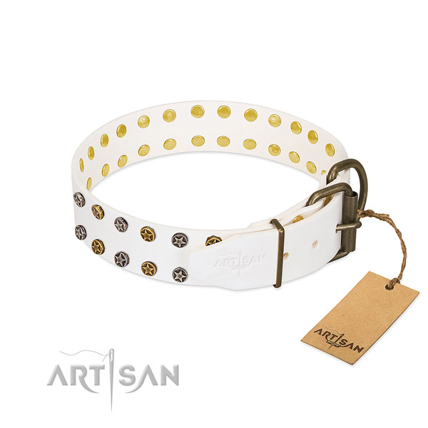 Incredible full grain genuine leather dog collar with durable decorations
