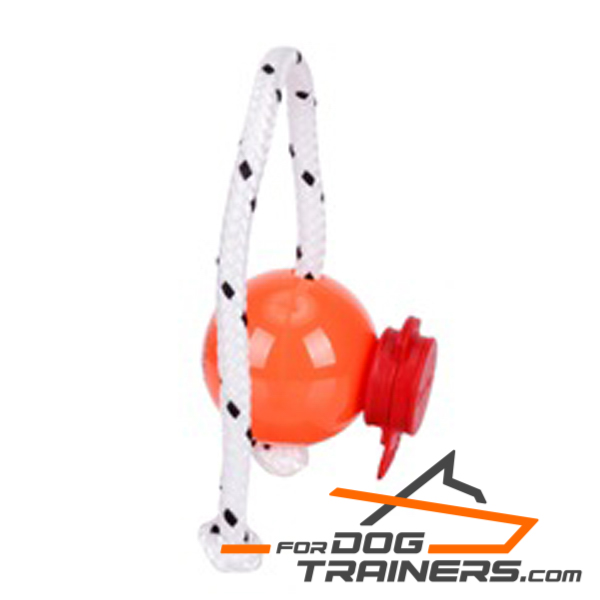 Dog orange ball on rope for training