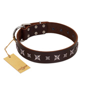 "Stellar Fairy " FDT Artisan Brown Leather Sharpei Collar with Chrome-plated Star-like Decorations