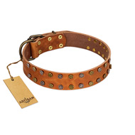 "Walk and Shine" FDT Artisan Tan Leather Sharpei Collar with Antiqued Studs