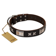 "Satin Beauts" FDT Artisan Brown Leather Sharpei Collar with Stars and Plates
