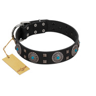 "Boundless Blue" FDT Artisan Black Leather Sharpei Collar with Chrome Plated Brooches and Square Studs
