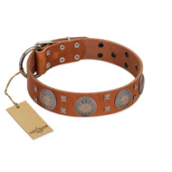 "Sun Rise Noon" FDT Artisan Tan Leather Sharpei Collar with Unique Design