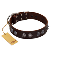 "King Arthur" FDT Artisan Brown Leather Sharpei Collar with Spiky Plates