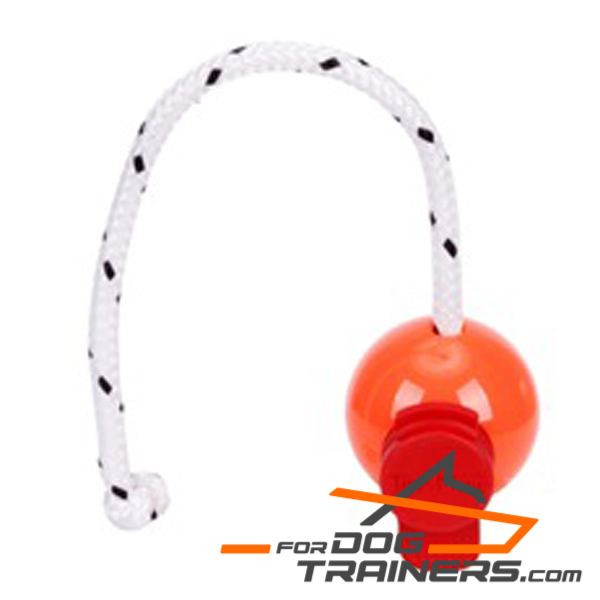 Magnetic orange ball for dog 