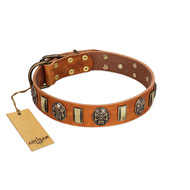 "Strike of Rock" FDT Artisan Tan Leather Sharpei Collar with Plates and Medallions with Skulls