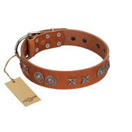 "Splendid Armor" Premium Quality FDT Artisan Tan Designer Sharpei Collar with Shields and Stars