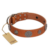 "Foxy Nature" FDT Artisan Tan Leather Sharpei Collar with Chrome Plated Brooches