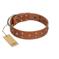 "Enchanted Skulls" FDT Artisan Tan Leather Sharpei Collar with Chrome Plated Skulls