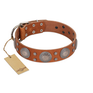"Far Star" FDT Artisan Tan Leather Sharpei Collar with Engraved Studs