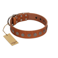 "Lucky Star" Handmade FDT Artisan Designer Tan Leather Sharpei Collar with Round Plates