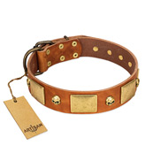 "Mutt The Daredevil" FDT Artisan Tan Leather Sharpei Collar with Old Bronze-like Skulls and Plates