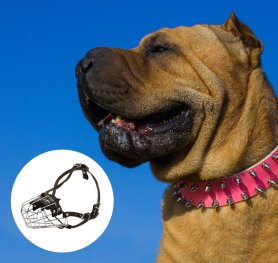 Purchasing the Right Dog Muzzle