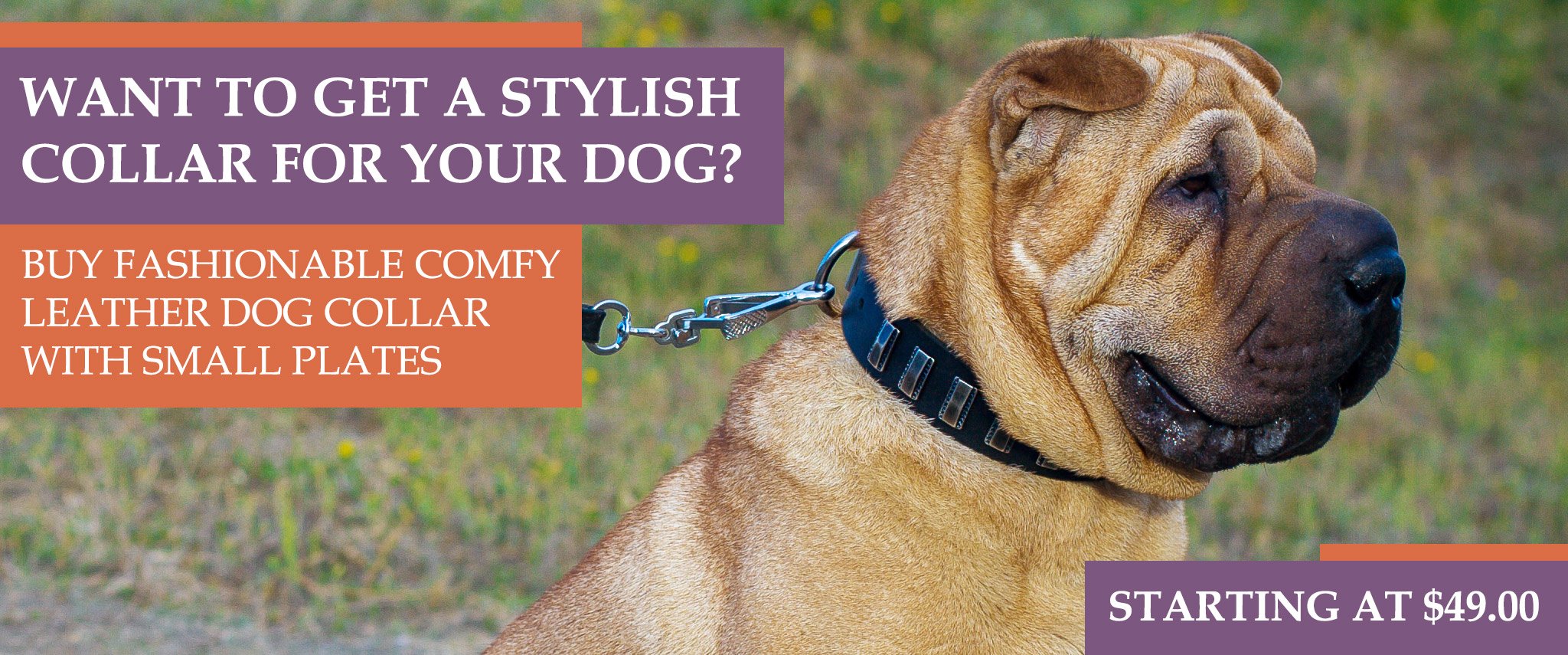 Shar Pei dog harnesses,Shar Pei dog collars,dog leashes, Shar Pei dog